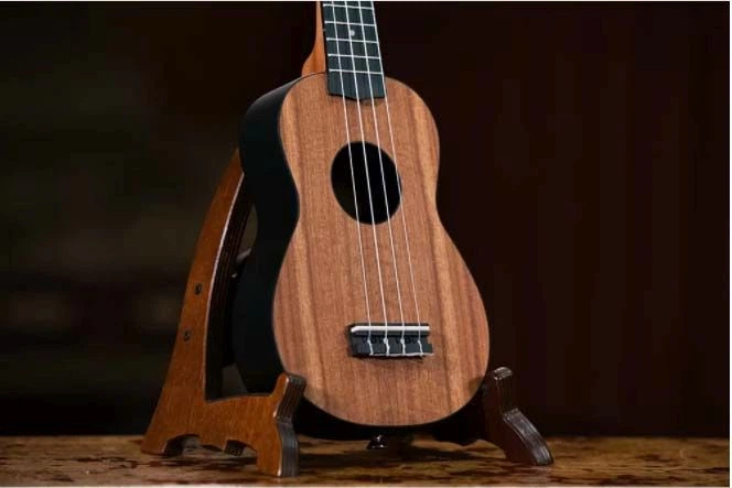 Комплект Укулеле Сопрано Keiki Ukulele Pack K3-ACA - изображение 4