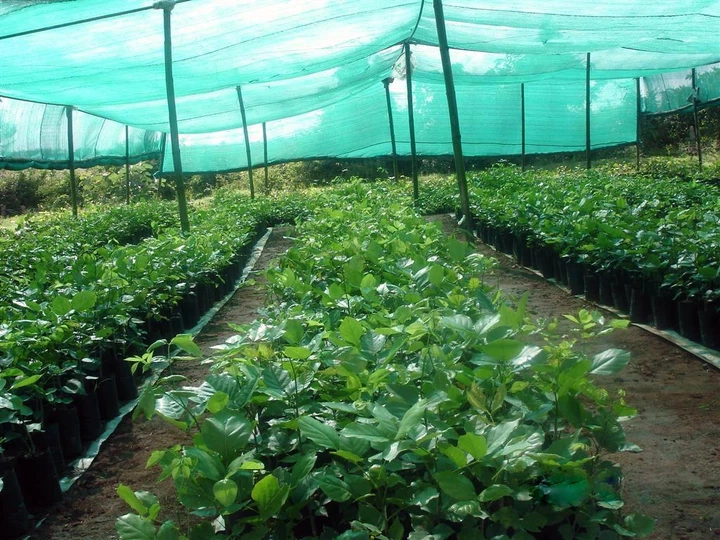 Сетка затеняющая защитная рулон 3х50м плотность 80 г/кв.м зеленая HDPE.green - изображение 2