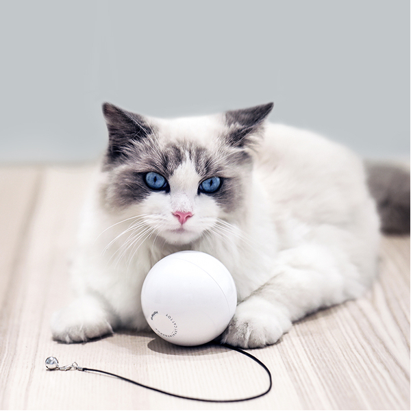 Интерактивная игрушка для кошек Live ball (Живой мяч) - изображение 2