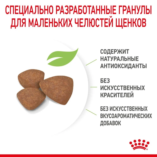Сухой корм Royal Canin MINI PUPPY для щенков Мелких пород 8 кг (3182550793049) - изображение 3