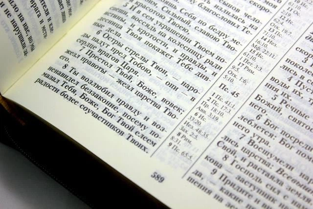 Библия большая в Синодальном переводе на змейке размер 18х25 см (11741) без индексов - изображение 3