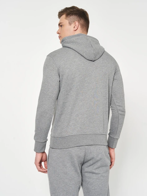 Худи мужское Tommy Hilfiger 10949.2 S Серое - изображение 2