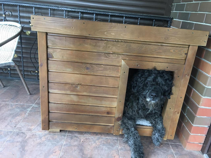 Строим будку для собаки. Чертежи