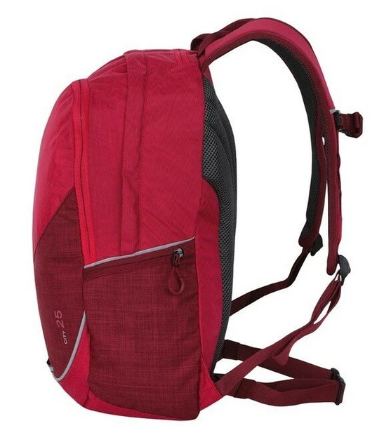 Рюкзак Hannah City 25 pink - изображение 2