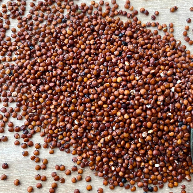 Киноа красная 0,3 кг от продавца: Healthy Snacks – купить в Украине ...