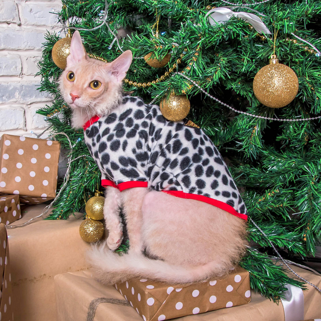 Кофта с рукавом для кота Style Pets флис Angel M+ - Фото 3 Кофта с рукавом для кота Style Pets флис Angel M+ - изображение 3