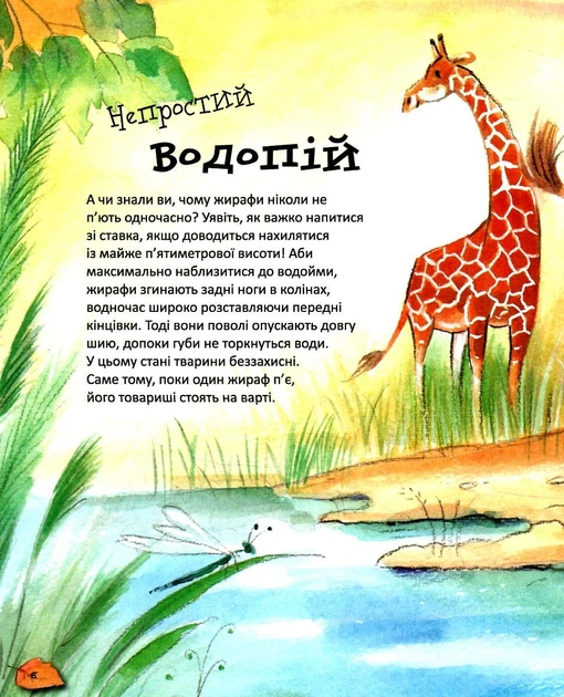 Дивовижі тваринного світу – Алехандро Альґара (9789664297810) - изображение 3