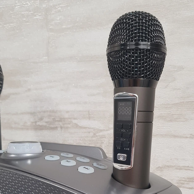 Портативна система Караоке з двома мікрофонами SDRD SD 306 Plus Сіра - зображення 3