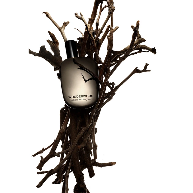 Comme des Garcons Wonderwood Парфюмированная вода unisex edp 50ml