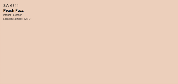 Тонована фарба DV Avalon Flat Enamel акрил-латексна глибокоматова colorpaint (SW 6344 Peach Fuzz) - зображення 2