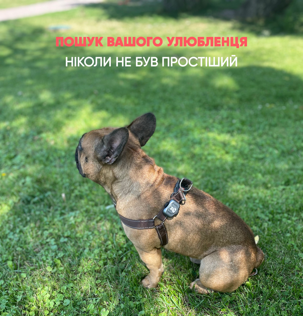 GPS ошейники для кошек - ROZETKA | Купить ошейник с GPS трекером для ...