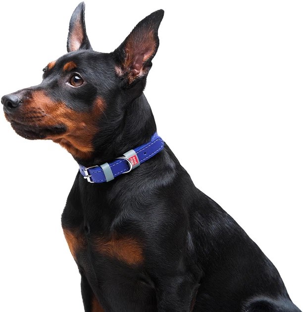 Нашийник для собак шкіряний Collar WAUDOG Classic, XS, Ш 12 мм, Дов 21-29 см (02029) - зображення 4