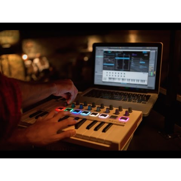 MIDI-клавіатура Arturia Minilab MkII + Arturia Analog Lab V - изображение 8