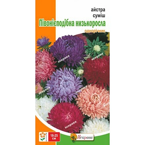 Семена Астра смесь Пионоподобная низкая 3г (726887) - Фото 2 Семена Астра смесь Пионоподобная низкая 3г (726887) - изображение 2