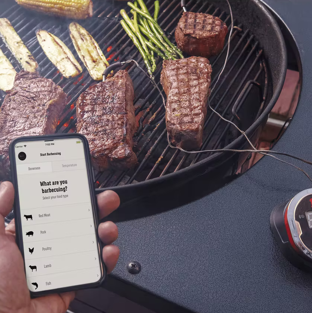 Термометр Weber iGrill 2 для барбекю гриля стейка (7221) - изображение 6