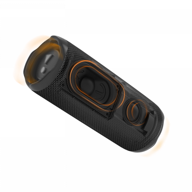 Акустическая система JBL Flip 6, Black (JBLFLIP6BLKEU) – фото