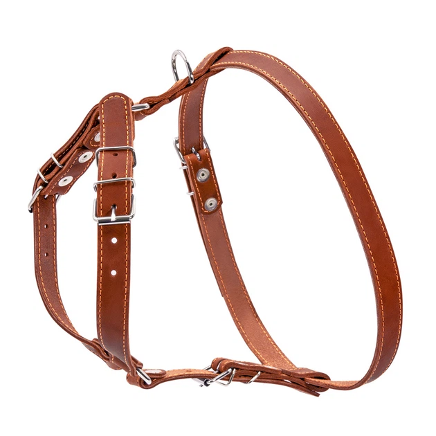 Шлея CoLLaR одинарная для мелких и средних собак (Ш 20мм, А:40-56см, В:57-65см), коричневый - Фото 2 Шлея CoLLaR одинарная для мелких и средних собак (Ш 20мм, А:40-56см, В:57-65см), коричневый - изображение 2