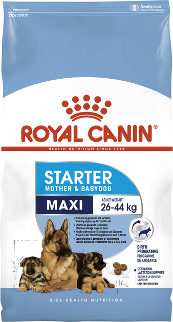 Sucha karma dla szczeniąt dużych ras Royal Canin Maxi Starter do 2 miesiąca życia 15 kg (3182550778787) (91419) (2994150) - obraz 1