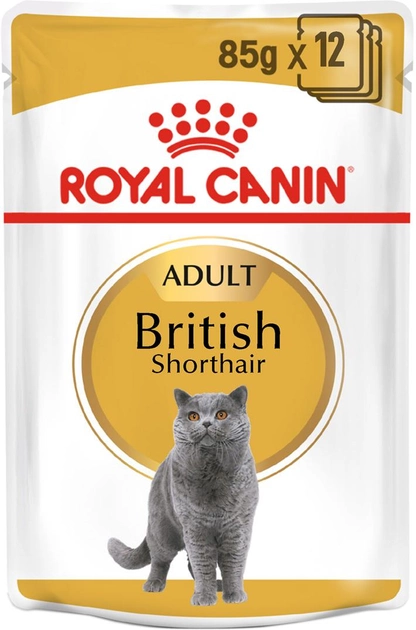 Вологий корм для дорослих кішок Royal Canin British Shorthair Adult 12 x 85 г (9003579001240) - зображення 2