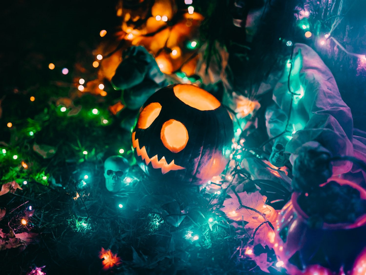 Girlanda LED Smart LED Twinkly Strings RGB 250, BT+WiFi, Gen II, kabel IP44 czarny (TWS250STP-BEU) - obraz 9