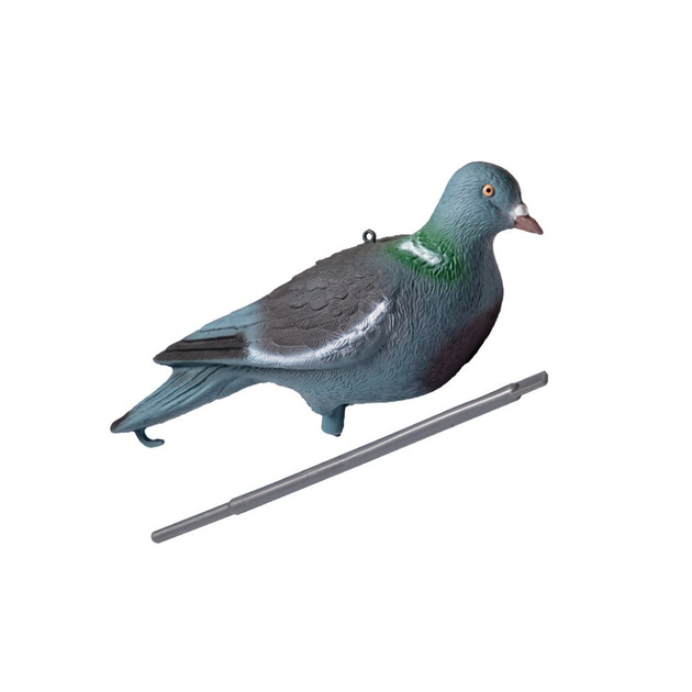 Подсадной голубь Birdland - изображение 1