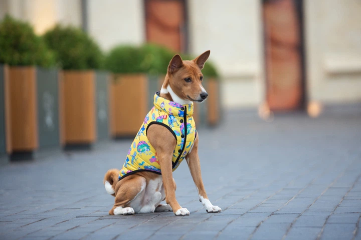 Курточка для собак WAUDOG Clothes малюнок Рік і Морті 3 M50 В 76-79 см С 55-61 см Yellow (0950-0282) - Фото 6 Курточка для собак WAUDOG Clothes малюнок Рік і Морті 3 M50 В 76-79 см С 55-61 см Yellow (0950-0282) - зображення 6
