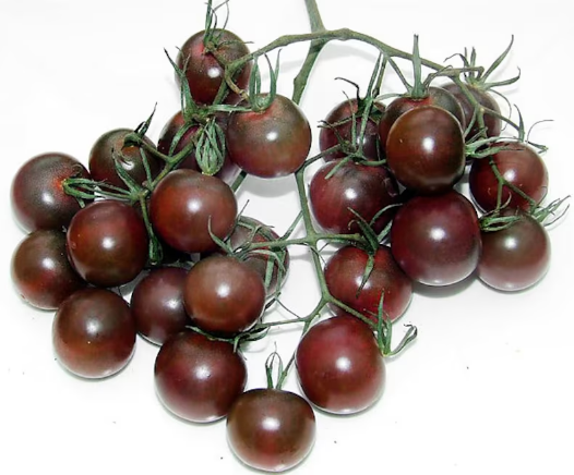 Семена Томат Блэк черри, 0,1 г (GL Seeds) - изображение 2