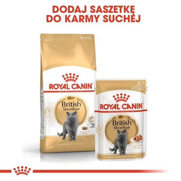 Упаковка вологого корму для дорослих кішок Royal Canin British Shorthair Adult 12 x 85 г (9003579001240) - зображення 8