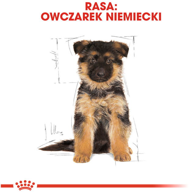 Сухий повнораційний корм для цуценят Royal Canin German Shepherd Puppy собак породи німецька вівчарка віком до 15 місяців 12 кг (3182550724159) (25191201) - зображення 7