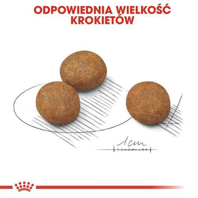 Sucha karma dla szczeniąt dużych ras Royal Canin Maxi Puppy do 15 miesięcy 4 kg (3182550402149) (91353) (30060401) - obraz 3