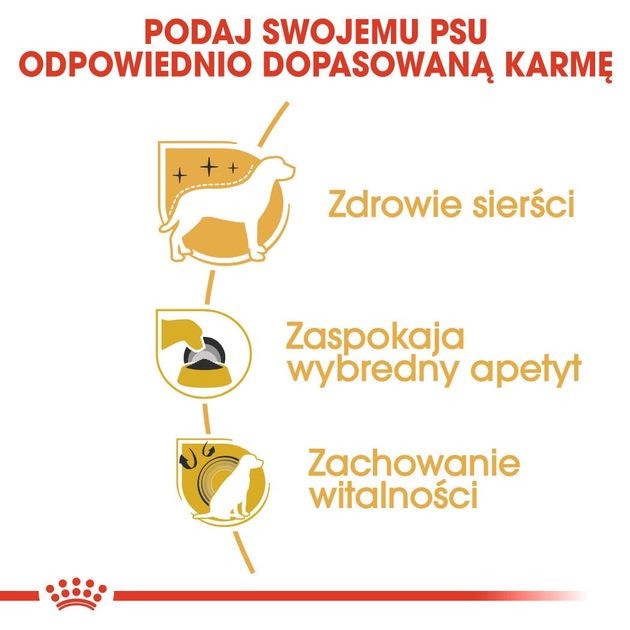Sucha karma pełnoporcjowa dla dorosłych psów Yorkshire Terrier Royal Canin Yorkshire Terrier Adult od 10 miesiąca życia 1,5 kg (3182550716857) (3051015) - obraz 6