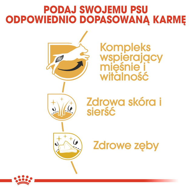 Sucha karma dla psów Jack Russell Terrier Royal Canin 7.5kg (3182550821438) (21000759) - obraz 6