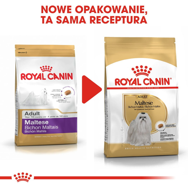 Sucha karma pełnoporcjowa dla dorosłych i starzejących się psów rasy maltańczyk Royal Canin Maltese Adult w wieku 10 miesięcy i starsze 500 g (3182550782180) (3995005) - obraz 6