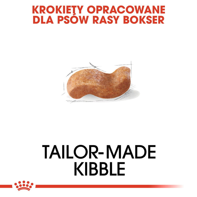 Сухий корм для собак Boxer Royal Canin 12кг (3182550719766) - зображення 4