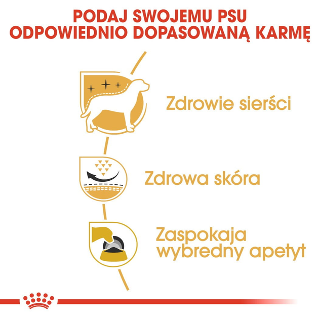 Сухий повнораційний корм для дорослих та старіючих собак породи Вест-хайленд-уайт-тер'єр Royal Canin West Highland White Terrier Adult віком 10 місяців та старше 3 кг (3182550811774) (3981030) - зображення 6