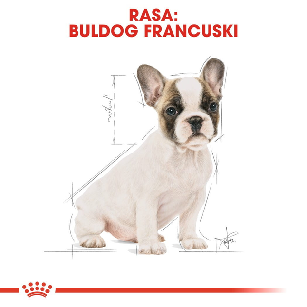Сухий корм для цуценят Французький бульдог Royal Canin Puppy 3 кг (3182550811705) (3990030) - зображення 6