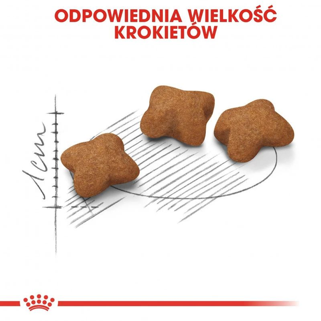 Сухий корм для стерилізованих кошенят Royal Canin Kitten Sterilised 3.5 кг (3182550877831) (2562035) - зображення 3