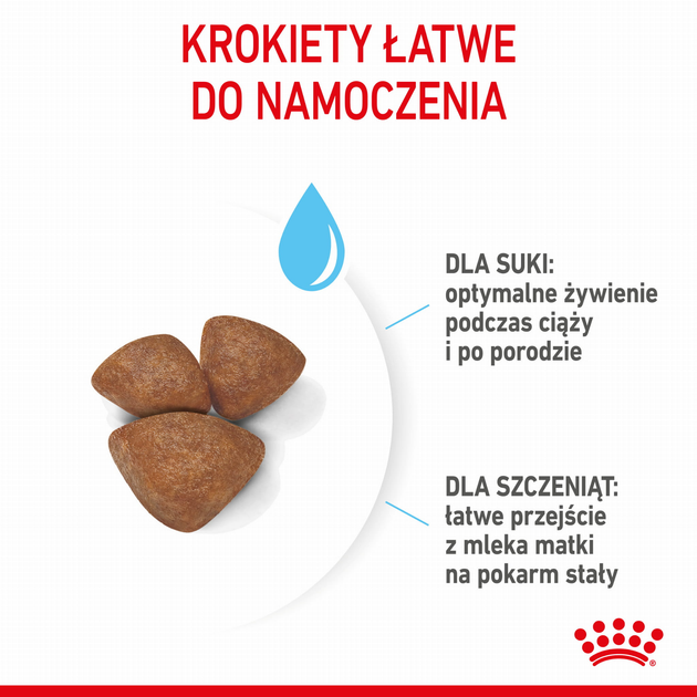 Sucha karma dla psów Royal Canin Mini Starter dla małych ras w okresie ciąży i laktacji 1 kg (3182550778657) (96012) (2990010) - obraz 2