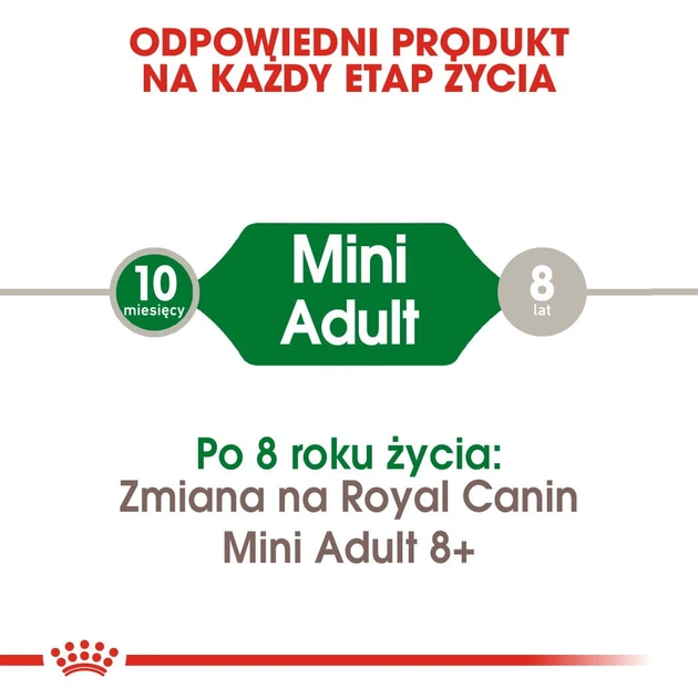 Sucha karma dla psów Royal Canin Mini Adult małych ras powyżej 10 miesiąca życia 4 kg (3182550727822) (727822) (3001040) - obraz 3