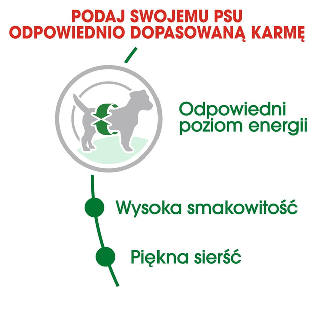 Sucha karma dla psów Royal Canin Mini Adult małych ras powyżej 10 miesiąca życia 4 kg (3182550727822) (727822) (3001040) - obraz 4