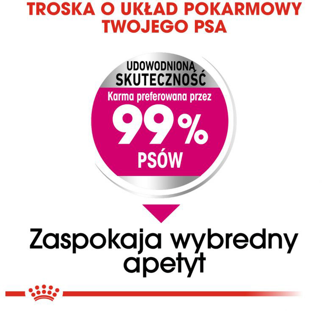 Sucha karma dla niewybrednych psów Royal Canin Mini Exigent 1 kg (3182550795128/3182550894029) (1006010) - obraz 3