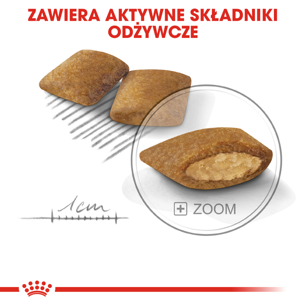 Sucha karma dla niewybrednych psów Royal Canin Mini Exigent 1 kg (3182550795128/3182550894029) (1006010) - obraz 4