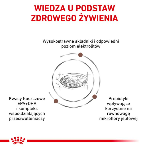 Sucha karma dla psów Royal Canin Gastro Intestinal Low Fat z ograniczoną zawartością tłuszczu na zaburzenia trawienia u psów 12 kg (3182550771177) (39321201) - obraz 4