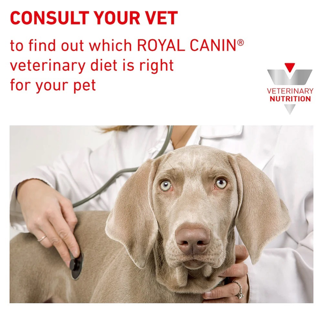 Sucha karma dla psów Royal Canin Gastro Intestinal Low Fat z ograniczoną zawartością tłuszczu na zaburzenia trawienia u psów 12 kg (3182550771177) (39321201) - obraz 8