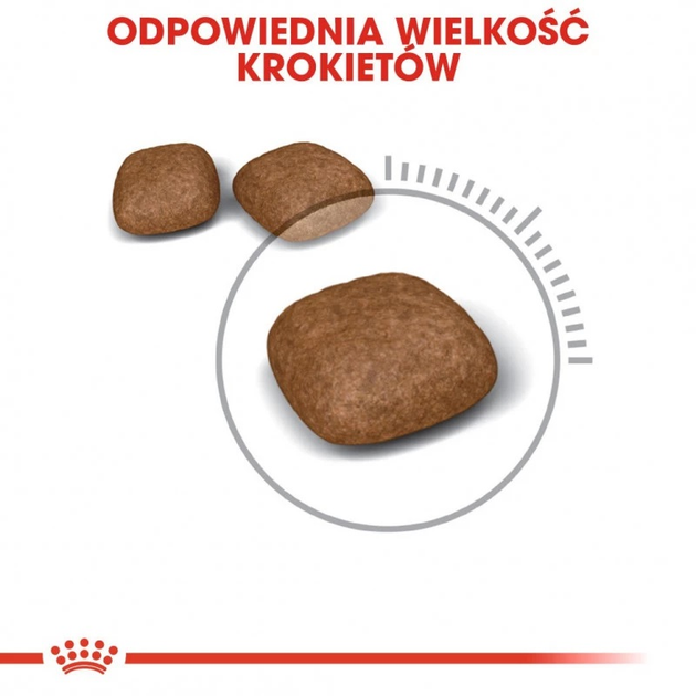 Sucha karma dla kotów Royal Canin Urinary Care 2 kg (3182550842938) (1800020) - obraz 4