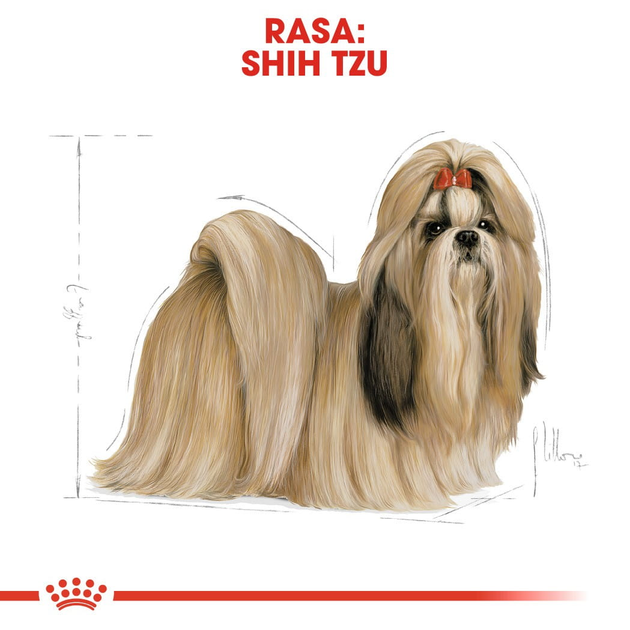 Sucha karma dla psów rasy shih tzu Royal Canin 1.5 kg (3182550743228) - obraz 6