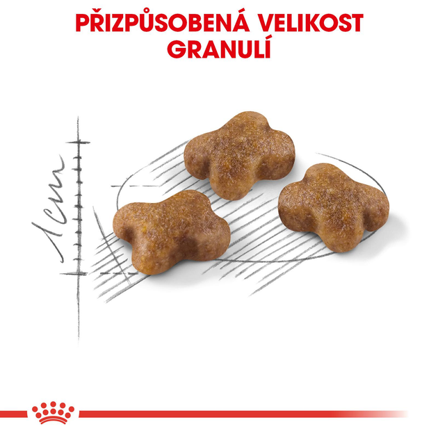 Sucha karma dla kociąt Royal Canin Kitten 10 kg (2522100/11415) (3182550702973/0262558702977) - obraz 5