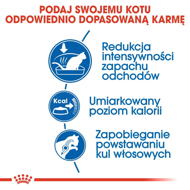 Сухой корм для домашніх котів Royal Canin Indoor 400 г (3182550704618) (25290049) - зображення 4