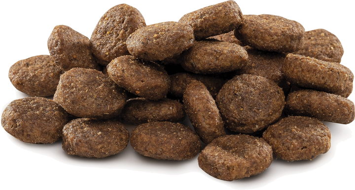 Сухий корм для цуценят та молодих собак великих порід Brit Premium Junior L зі смаком курки 15 кг (8595602526437) - зображення 2