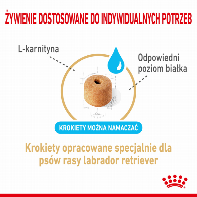 Сухий корм для дорослих собак Royal Canin Labrador Retriever 5+ 12 кг (3182550908412) (1339120) - зображення 4